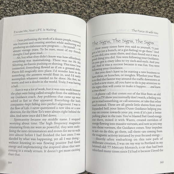 Excuse Me, Your Life is Waiting: The Astonishing Power of Feelings Lynn Grabhorn - Picture 16 of 16